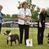 Champion club show 2012: BOB of BT Yoeckydoe's HeadBanger and BOB of MBT Famous Star Dream by God Given