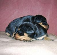 DSCN7928.JPG
