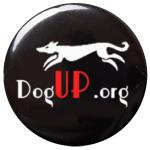 44 mm pin face.jpg