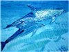 Роспись на ломаной яичной скорлупе,гуашь - последнее сообщение от минна8