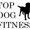 TOP DOG FITNESS - фитнес центр для собак - последнее сообщение от TopDogFitness